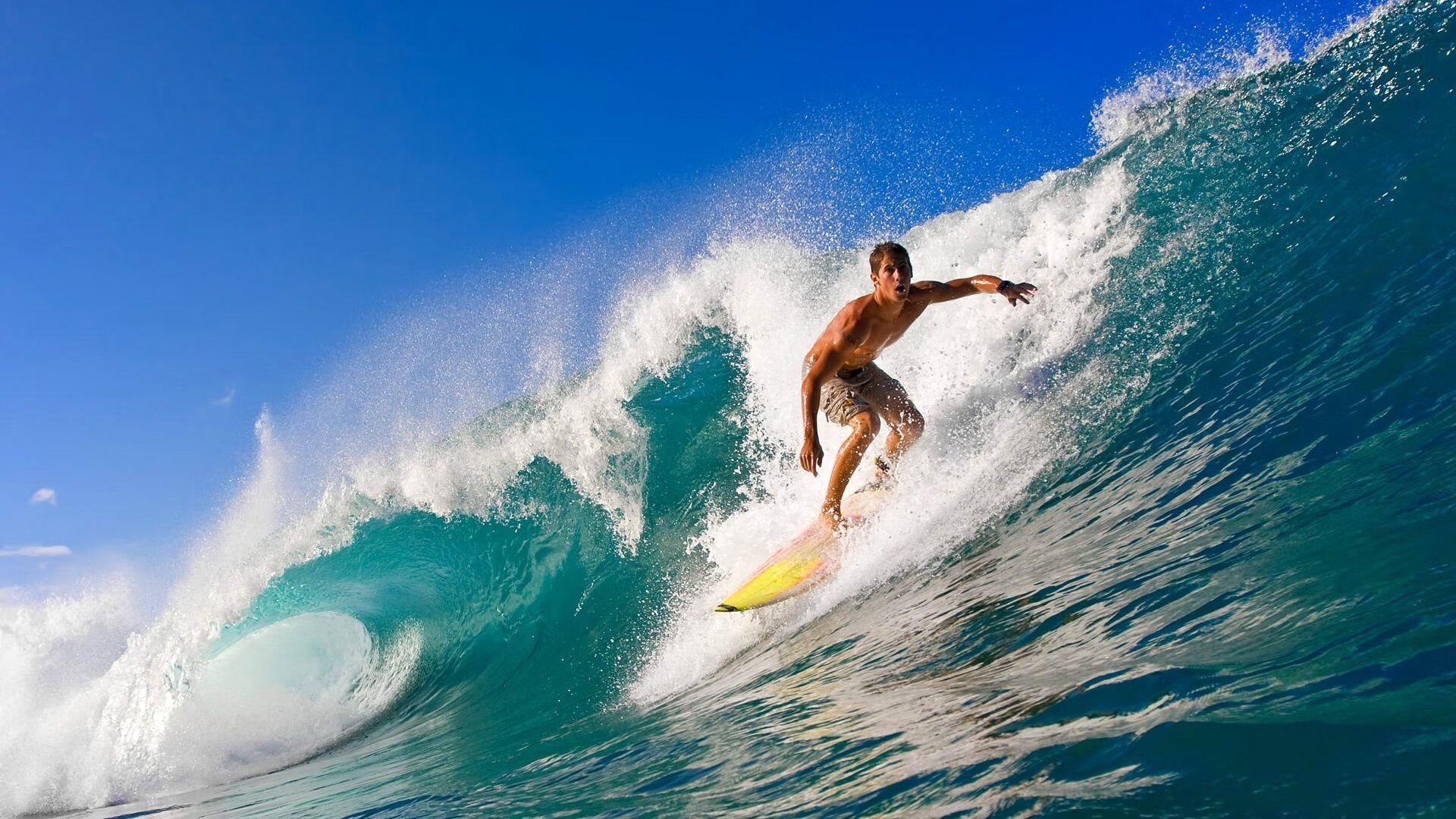 阿劳霍高光表现,美洲杯半决赛,美国如何粉碎阿根廷的卫冕之梦