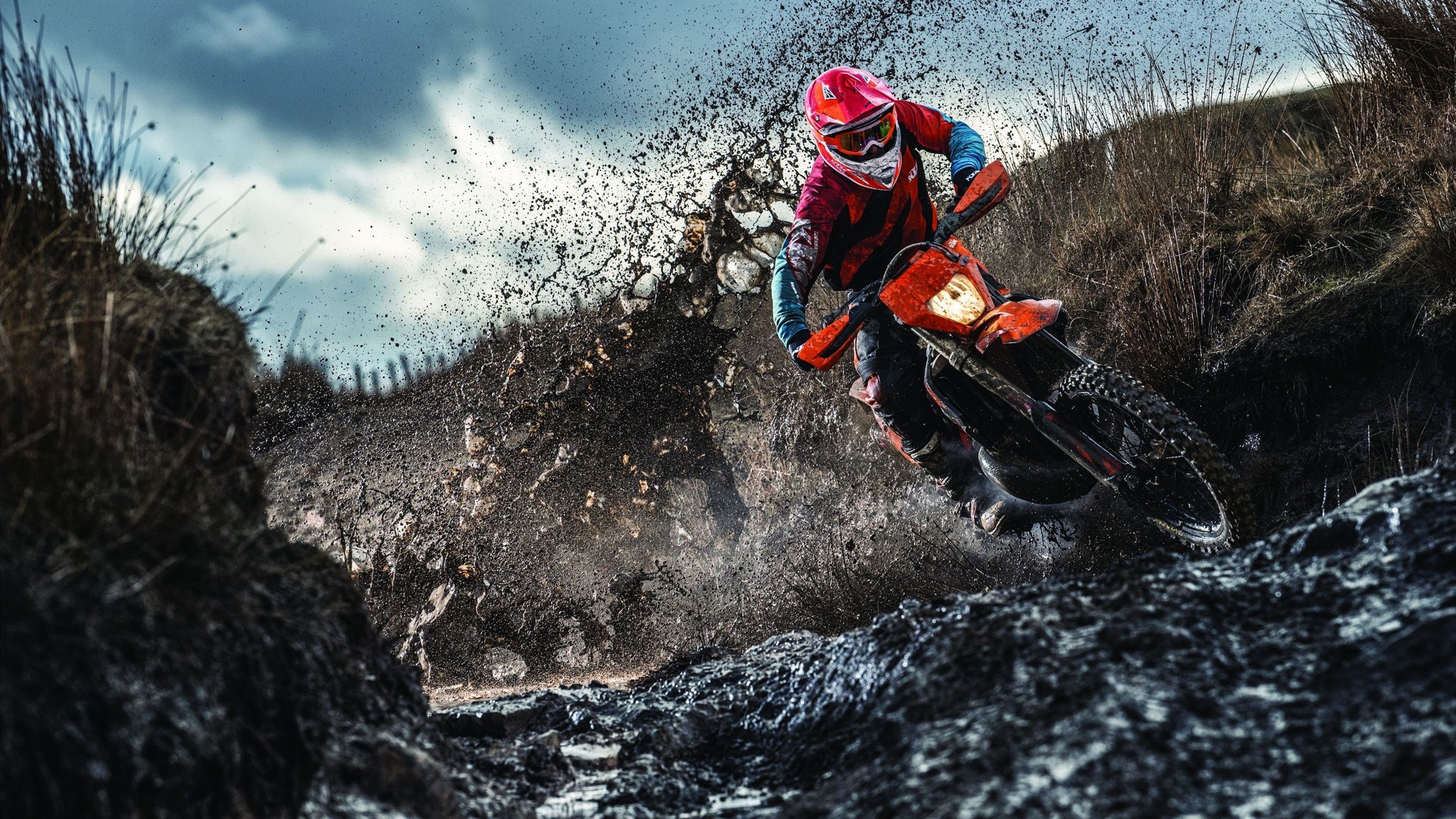 字母哥的眼泪与天山雪,当救赎与绝杀在平行时空共振